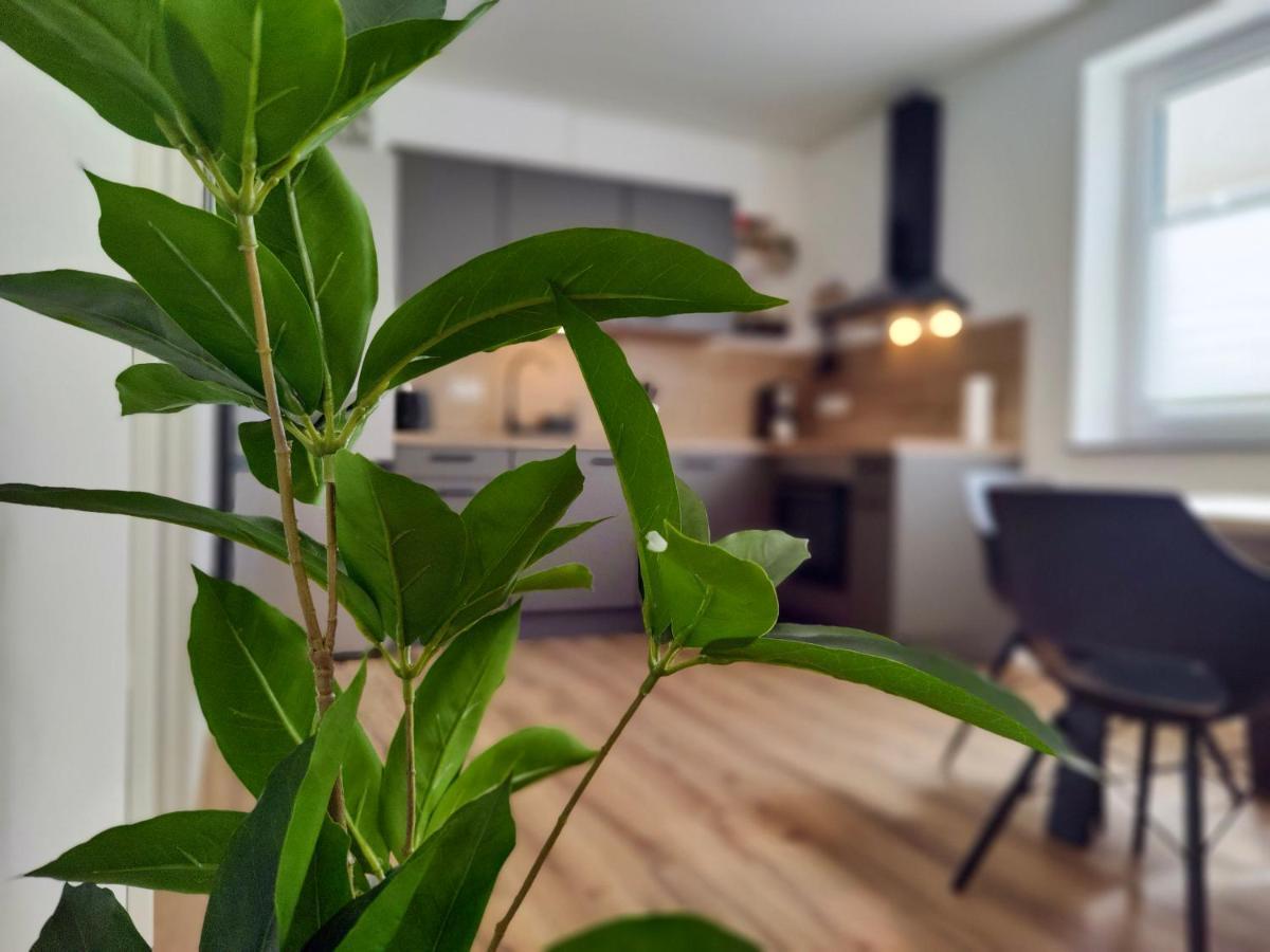 Hygge Home - Mit Garten Und Stellplatz Fuer Feriengaeste-, Monteure / Netflix / 10 Min. Zur Sinsheim Therme Und Zur Autobahn Екстер'єр фото